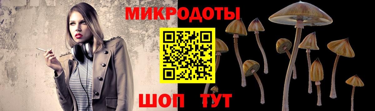 Галлюциногенные грибы Psilocybe Ростов-на-Дону